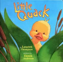 Little Quack Little Quack